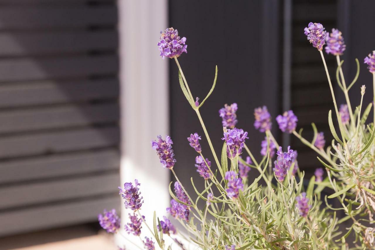 Bentleys Coast And Country B&B Lymington Ngoại thất bức ảnh