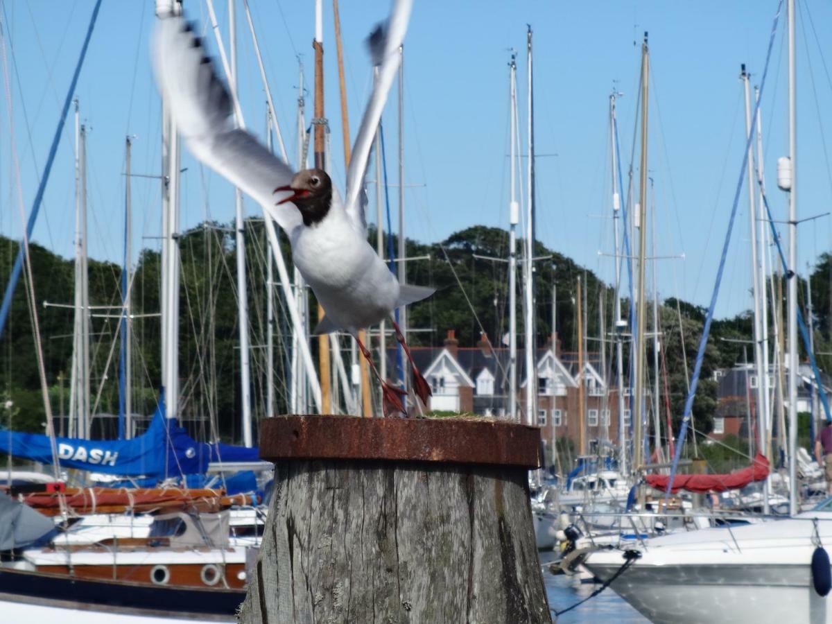 Bentleys Coast And Country B&B Lymington Ngoại thất bức ảnh